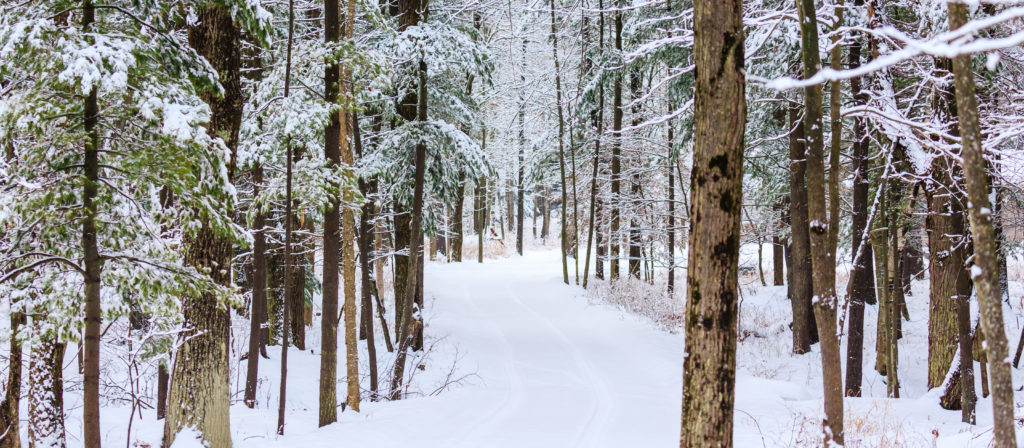 Enjoy winter locations with some of the best family weekend getaways Midwest.